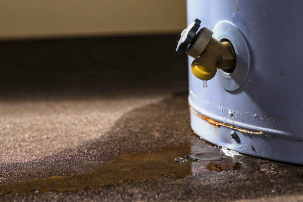  Briar, TX Water damage restoration Pros