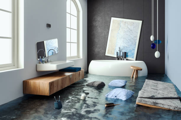 Best Water damage cleanup near me  in Briar, TX