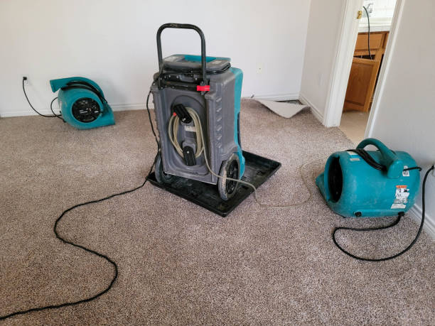 Best Professional water damage repair  in Briar, TX