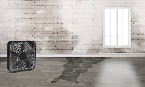 Best Sewage cleanup and water damage restoration  in Briar, TX