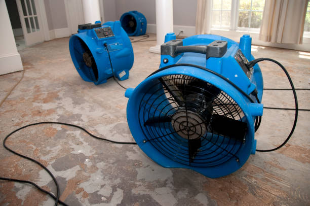 Best Flooded house restoration  in Briar, TX
