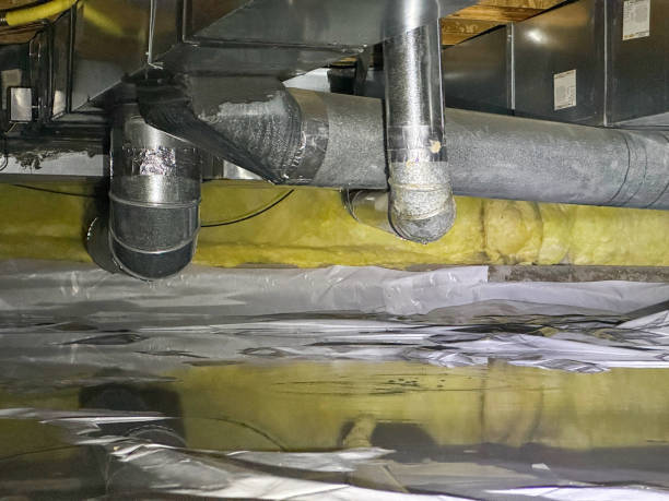 Best Ceiling water damage repair  in Briar, TX